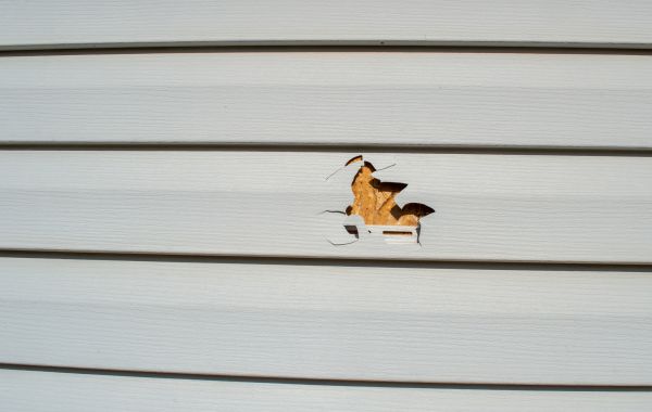 Cost of Siding Hole Repair in Marysville